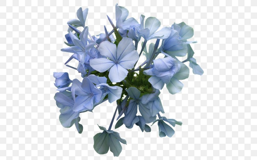Cut Flowers Petal, PNG, 512x512px, Flower, Blue, Cut Flowers, Flowering Plant, Hydrangea Download Free