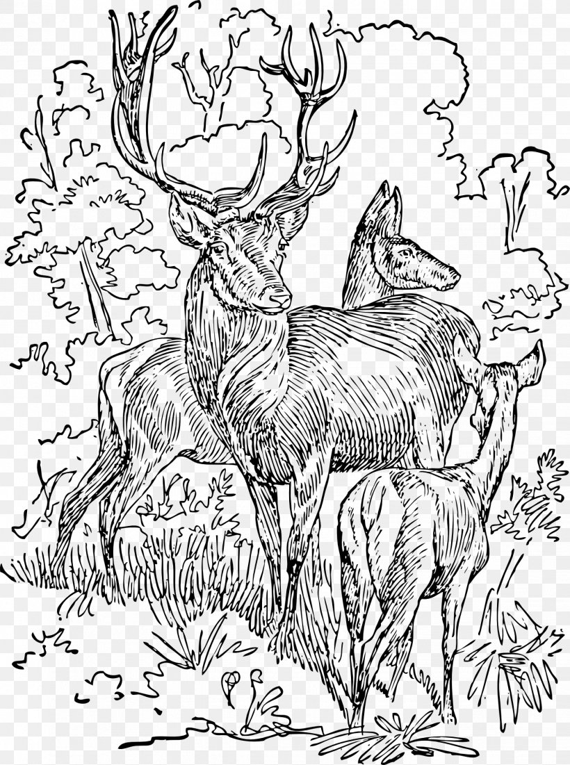 Deer Drawing Graphic Arts Clip Art, PNG, 1429x1920px, Deer, Art, Artwork, Black And White, Cattle Like Mammal Download Free