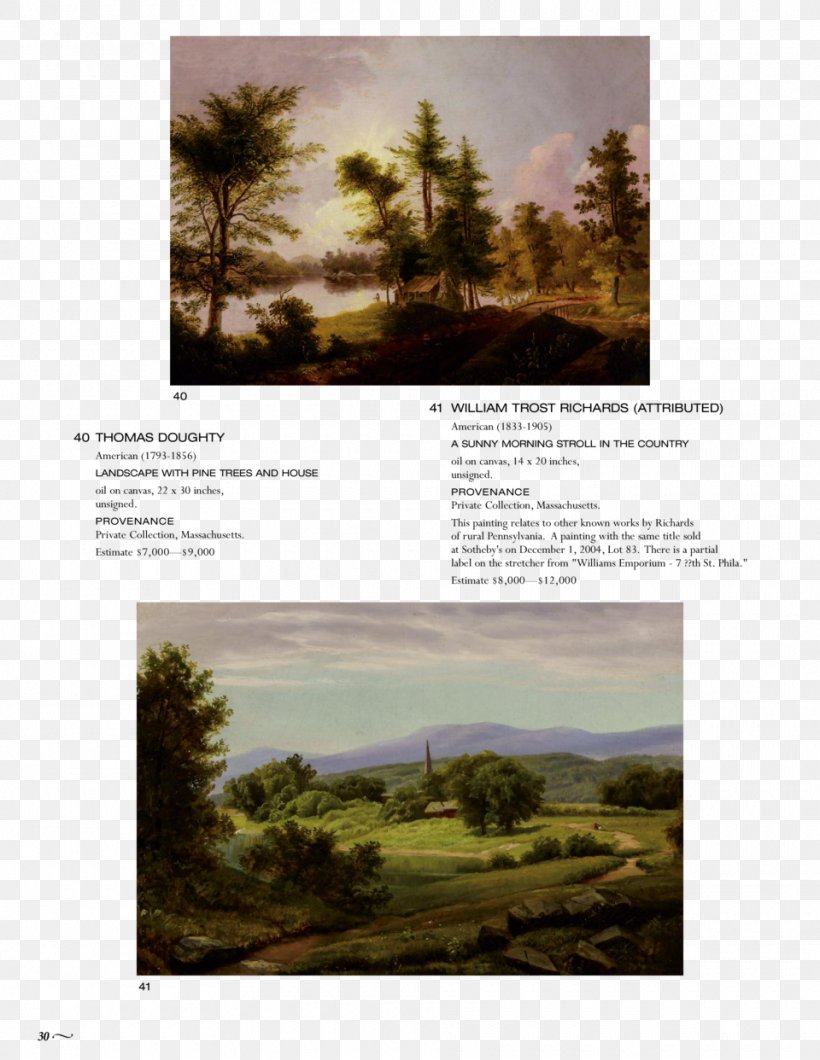 Ecoregion Stock Photography Poster Sky Plc, PNG, 960x1242px, Ecoregion, Ecosystem, Grass, Landscape, Nature Download Free