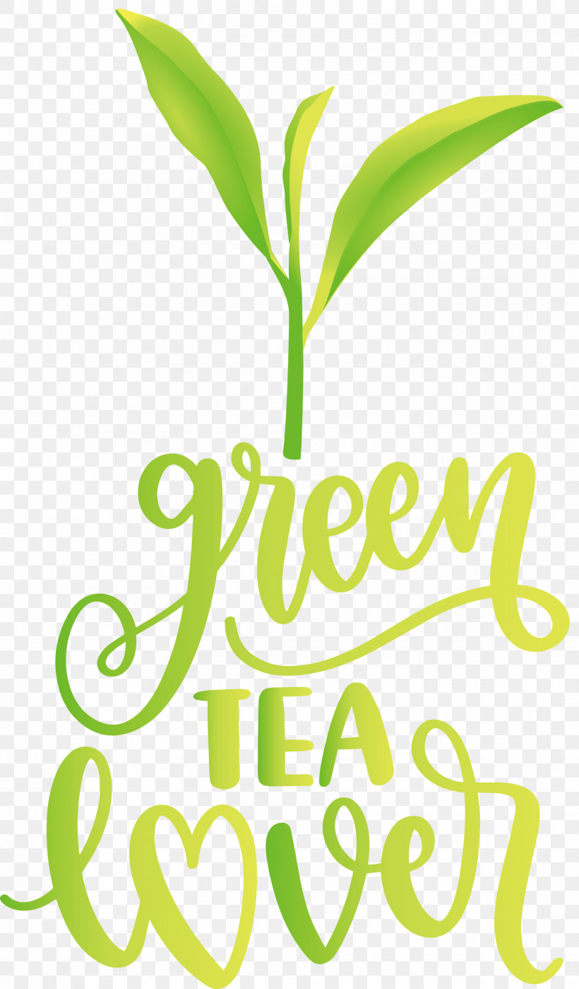 Green Tea Lover Tea, PNG, 1758x3000px, Tea, Herbal Medicine, Leaf, Logo, M Download Free