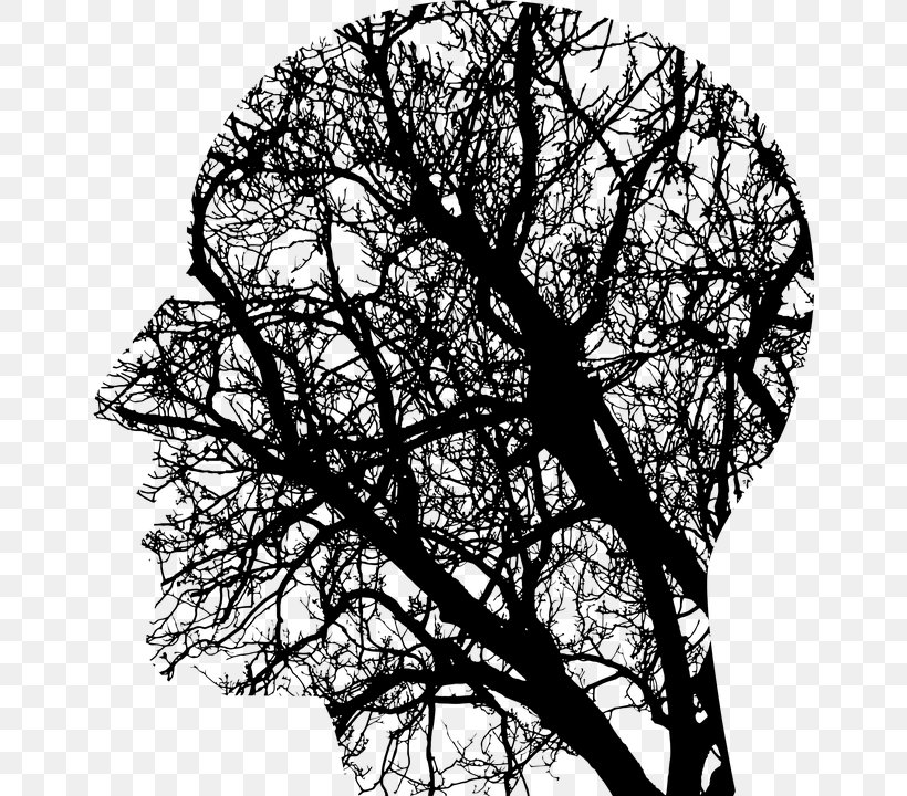 Human Brain Cognitive Neuroscience Transcranial Magnetic Stimulation Cognitive Training, PNG, 652x720px, Brain, Black And White, Brain Injury, Branch, Cognitive Neuroscience Download Free