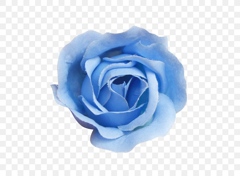 Blue Rose Beach Rose Centifolia Roses, PNG, 600x600px, Blue Rose, Beach Rose, Blue, Centifolia Roses, Color Download Free
