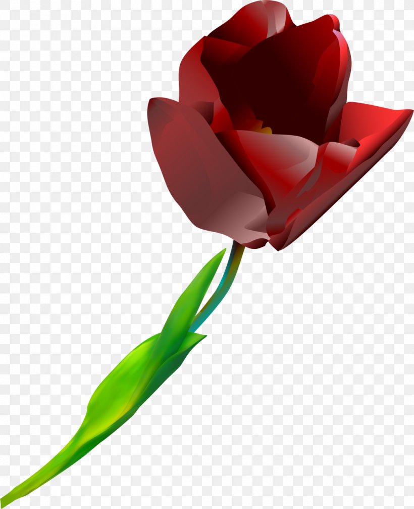 Tulip Cut Flowers Red Plant, PNG, 1043x1280px, Tulip, Cut Flowers, Flower, Flower Bouquet, Flowering Plant Download Free