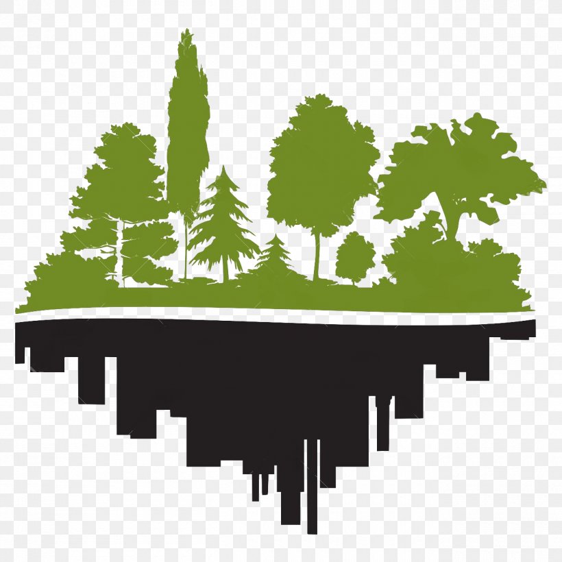 forest vector png