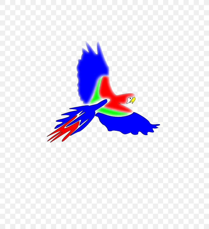 Bird Parrot True Macaws Clip Art, PNG, 636x900px, Bird, Beak, Chimney Swift, Drawing, Feather Download Free