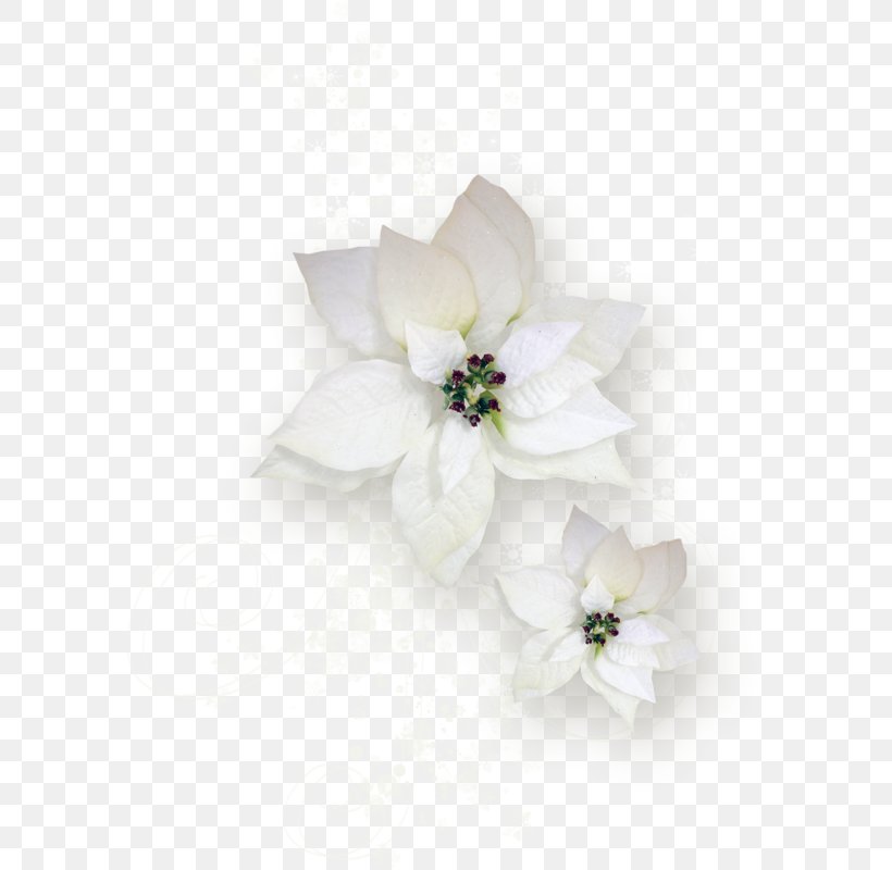 Cut Flowers Rose Petal Flower Bouquet, PNG, 588x800px, Flower, Blossom, Blume, Cherry Blossom, Cut Flowers Download Free