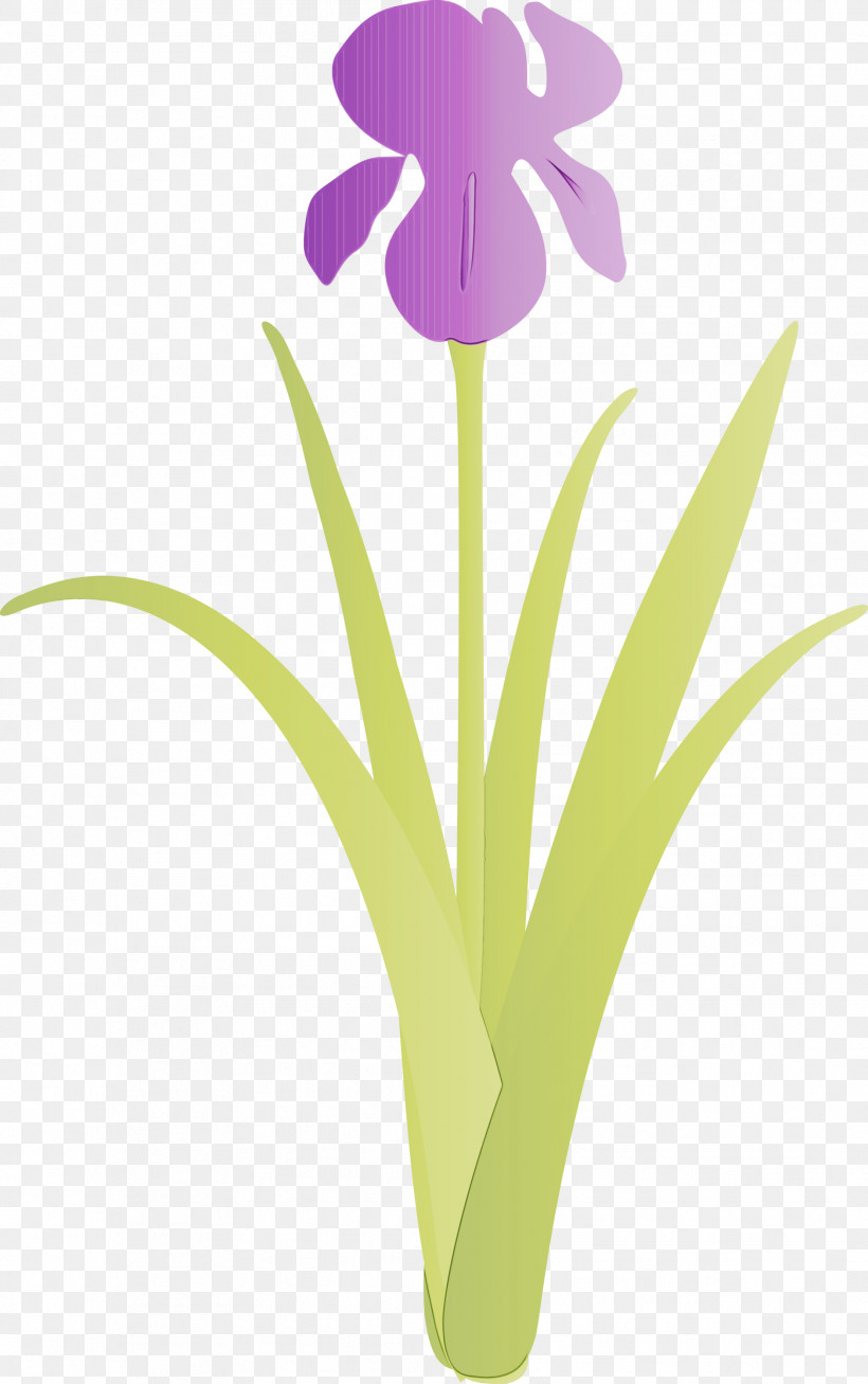 Flower Violet Plant Purple Iris, PNG, 1881x3000px, Iris Flower, Flower, Iris, Iris Family, Paint Download Free