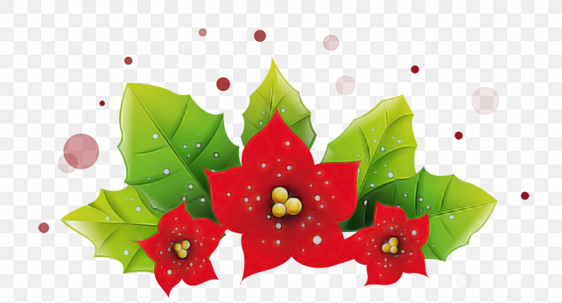Holly, PNG, 900x486px, Red, Flower, Holly, Leaf, Petal Download Free