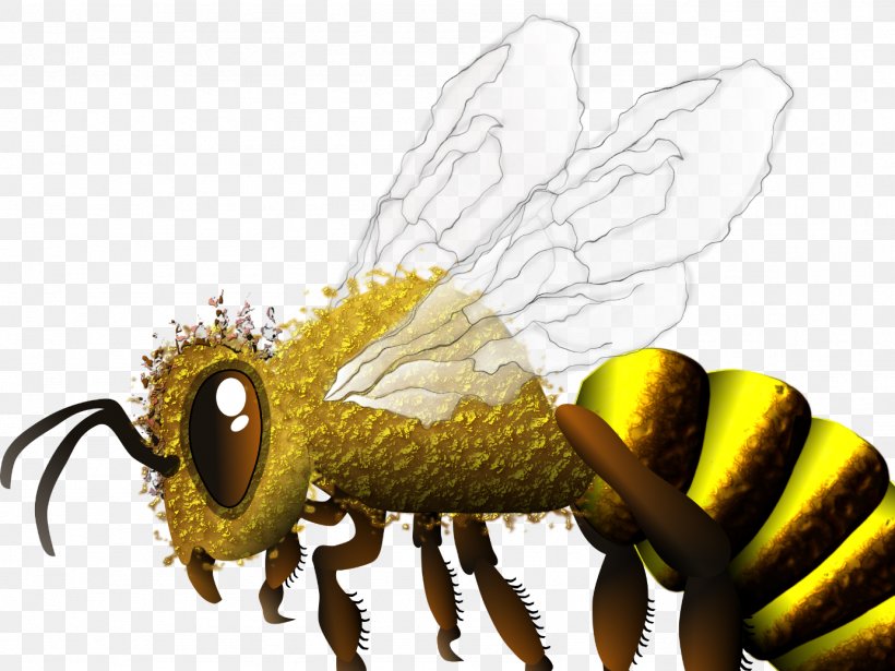 Honey Bee, PNG, 1384x1039px, Honey Bee, Arthropod, Bee, Fly, Honey Download Free