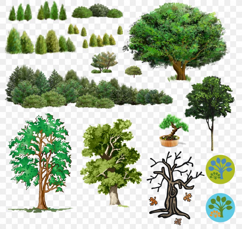 Tree Clip Art, PNG, 1776x1684px, Tree, Bonsai, Branch, Computer Software, Digital Image Download Free