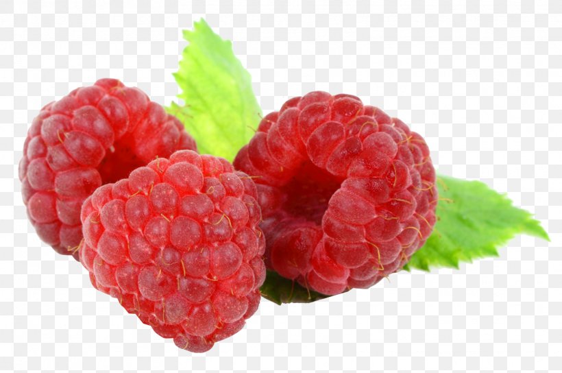 Frutti Di Bosco Red Raspberry Food Musk Strawberry, PNG, 1616x1074px, Raspberry, Auglis, Berry, Blackberry, Boysenberry Download Free
