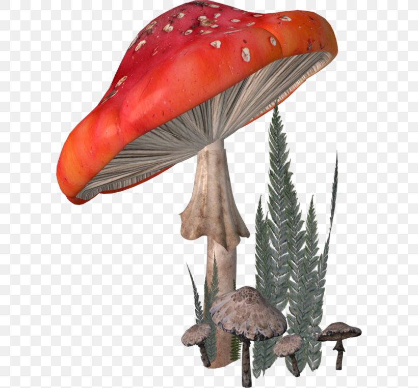 Fungus Agaricaceae Amanita Clip Art, PNG, 600x763px, Fungus, Agaricaceae, Amanita, Computer Animation, Edible Mushroom Download Free
