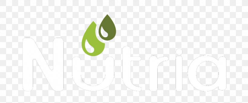 Logo Brand Desktop Wallpaper Green, PNG, 908x380px, Logo, Brand, Computer, Coypu, Green Download Free