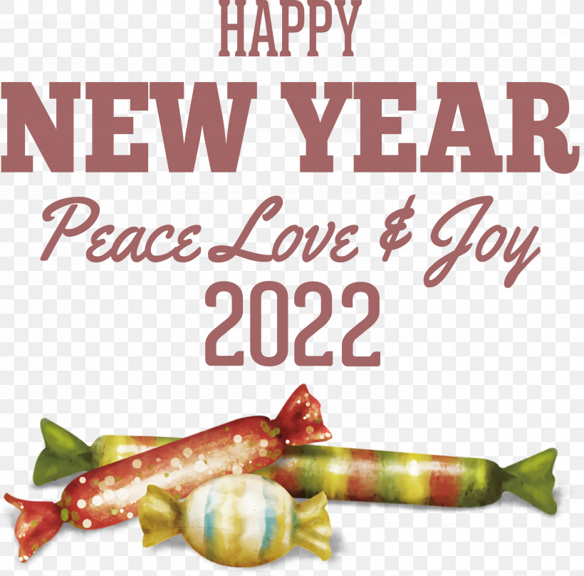 New Year 2022 Happy New Year 2022 2022, PNG, 3000x2958px, Meter, Biology, Science Download Free