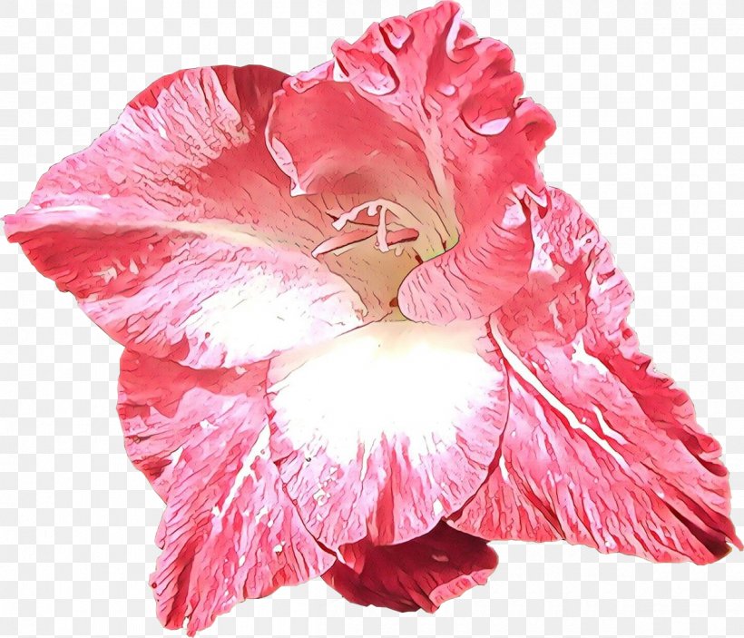Petal Pink Flower Hawaiian Hibiscus Plant, PNG, 1200x1029px, Cartoon, Cut Flowers, Flower, Flowering Plant, Gladiolus Download Free