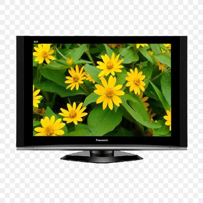 Television Set Panasonic LED-backlit LCD Liquid-crystal Display, PNG, 2953x2953px, Television Set, Backlight, Computer Monitor, Display Device, Flower Download Free