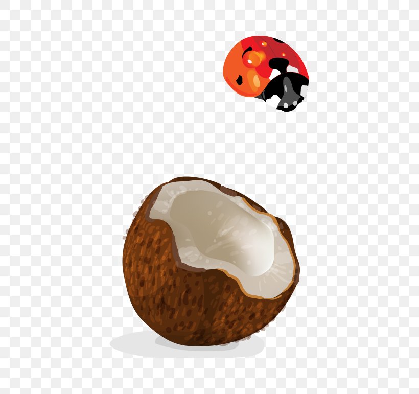Vector,Hand-drawn Animation,ladybug, PNG, 530x771px, Coconut, Coco, Food, Gratis, Product Design Download Free
