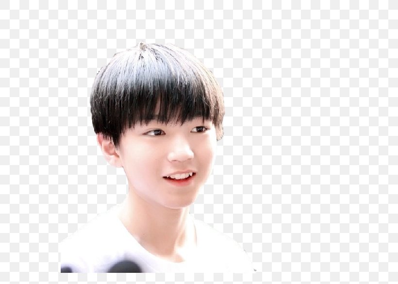 Karry Wang TFBoys China Wikipedia Tencent QQ, PNG, 683x585px, Watercolor, Cartoon, Flower, Frame, Heart Download Free