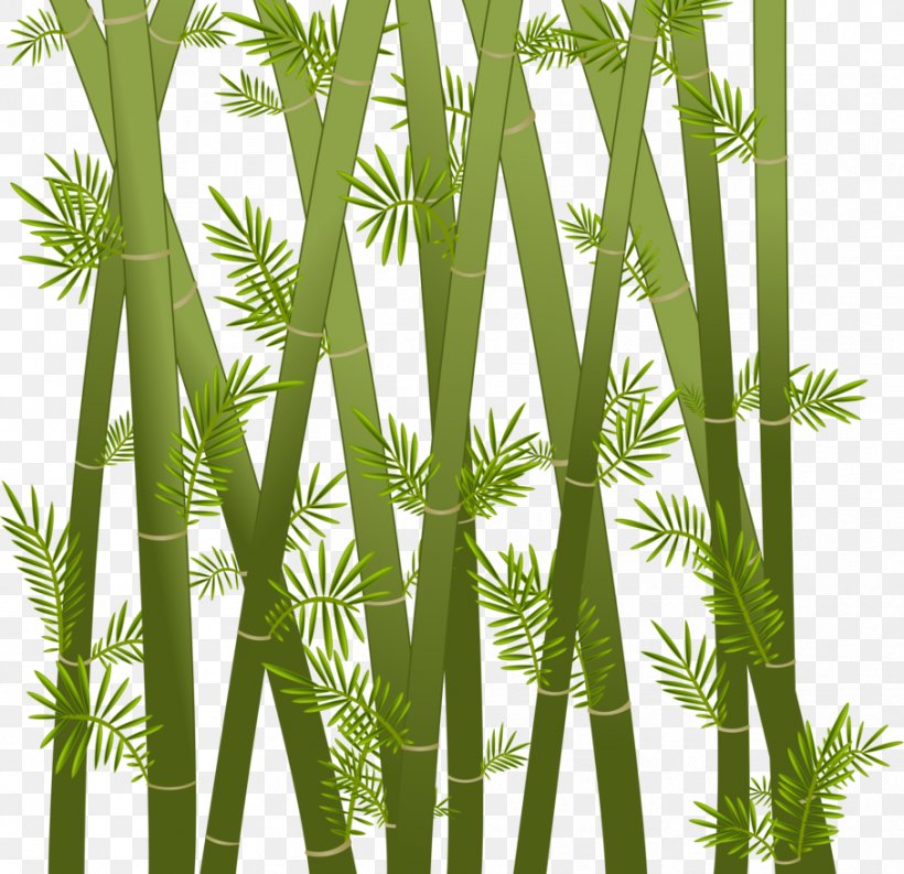 Paper Bamboo Drawing Art Clip Art, PNG, 908x879px, Paper, Arecales, Art, Bamboo, Bamboo Floor Download Free