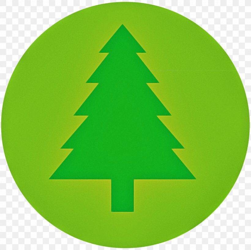 Christmas Tree, PNG, 1600x1600px, Green, Christmas Decoration, Christmas Tree, Conifer, Leaf Download Free