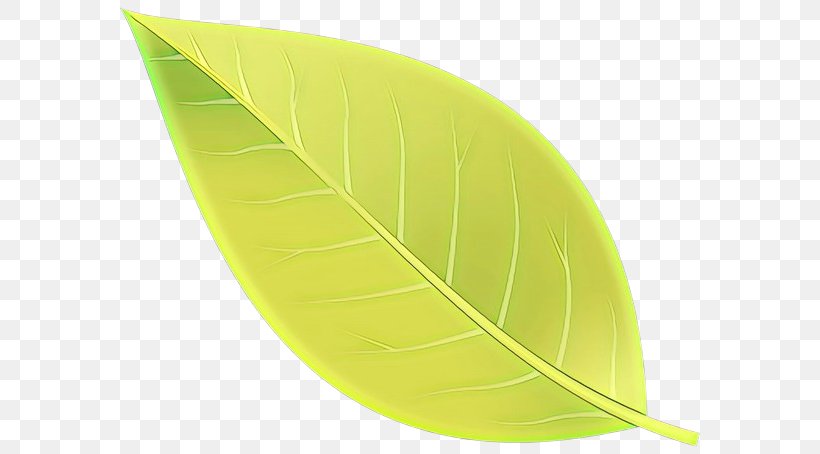 Leaf Yellow Green Plant, PNG, 600x454px, Cartoon, Green, Leaf, Plant, Yellow Download Free