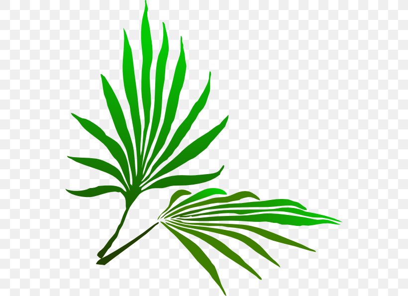 Palm Sunday Palm Branch Easter Clip Art, PNG, 558x595px, Palm Sunday, Arecaceae, Black And White, Branch, Easter Download Free