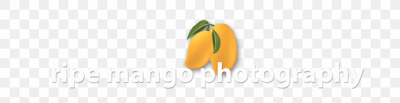 Logo Brand Desktop Wallpaper Font, PNG, 1600x414px, Logo, Brand, Computer, Orange, Text Download Free