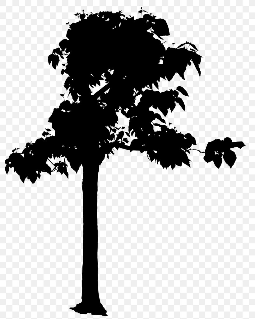 Tree Photography Drawing, PNG, 797x1024px, Tree, Black And White, Branch, Custom Home, Drawing Download Free