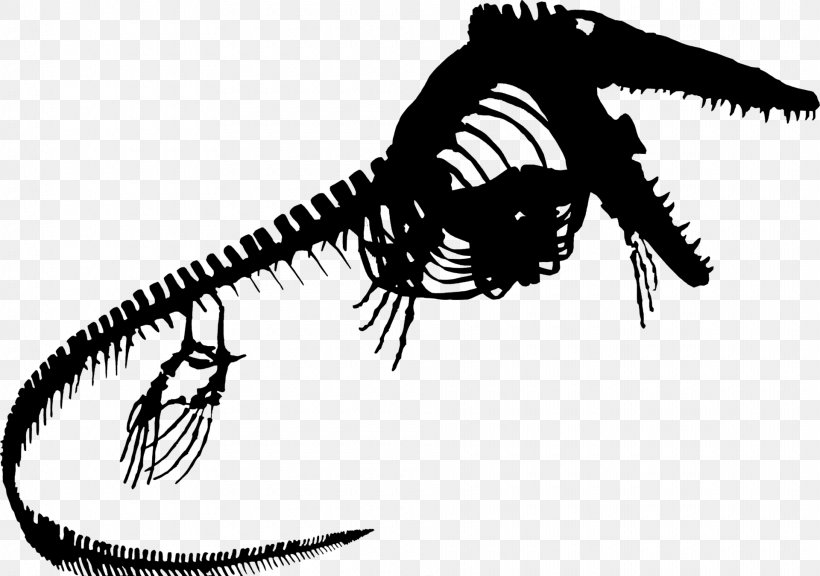 Tyrannosaurus Font Invertebrate, PNG, 1920x1350px, Tyrannosaurus, Invertebrate, Jaw, Organism Download Free