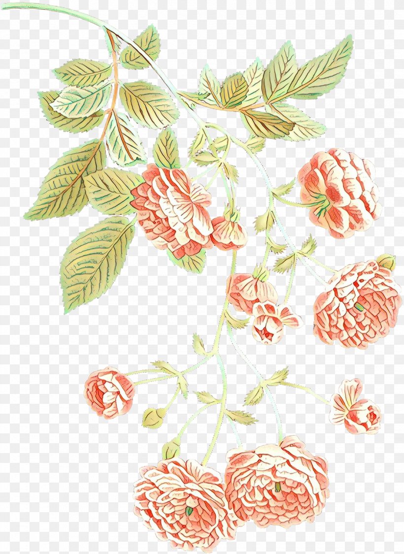 Flowers Background, PNG, 1749x2400px, Cartoon, Branch, Cut Flowers, Floral Design, Flower Download Free