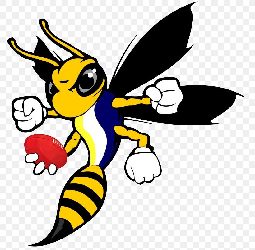 Hornet Bee Wasp Clip Art, PNG, 775x805px, Hornet, Apis Cerana, Art, Artwork, Beak Download Free