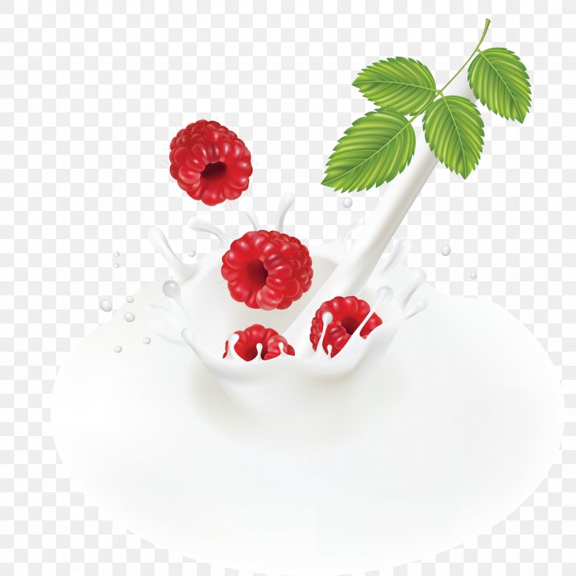 Milk Raspberry Fruit, PNG, 2362x2362px, Milk, Berry, Blueberry, Cherry, Dairy Product Download Free