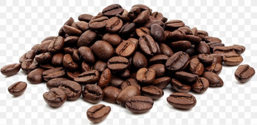 Coffee Bean Tea Cafe Jamaican Blue Mountain Coffee, PNG, 1246x610px, Coffee, Bean, Cafe, Caffeine, Cocoa Bean Download Free