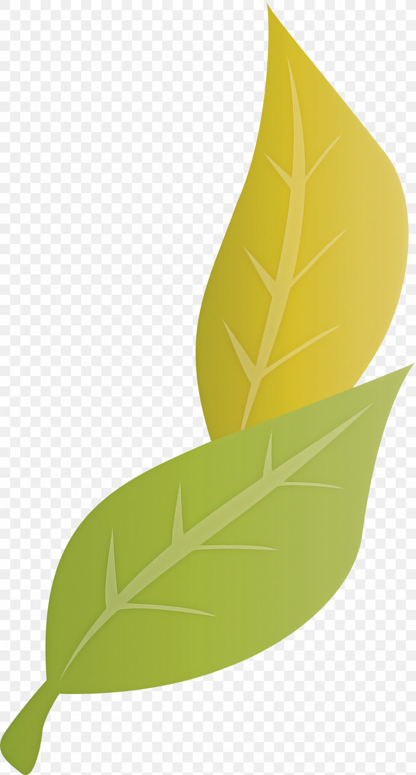 Floral Design, PNG, 1613x3000px, Leaf, Biology, Drawing, Floral Design, Flower Download Free