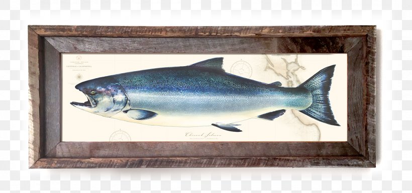 Sardine Fauna, PNG, 1400x659px, Sardine, Bony Fish, Fauna, Fish Download Free