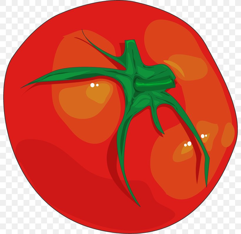 Tomato Pizza Margherita Food Ketchup Salad, PNG, 798x796px, Tomato, Apple, Bell Pepper, Bell Peppers And Chili Peppers, Chili Pepper Download Free