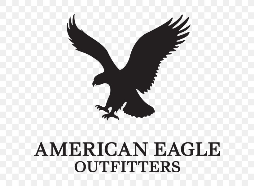 American Eagle Outfitters Clothing Bald Eagle Brand Retail, PNG, 800x600px, American Eagle Outfitters, Accipitriformes, Aeropostale, Bald Eagle, Beak Download Free