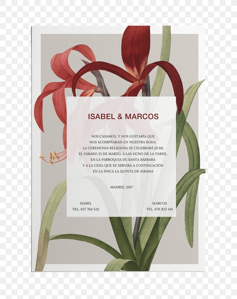 Floral Design Paper Convite Giclée, PNG, 800x1033px, Floral Design, Auction, Auction Co, Convite, Floristry Download Free