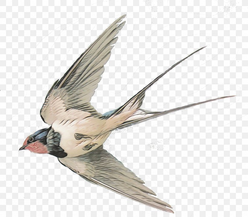 Hummingbird Tattoo, PNG, 1600x1406px, Swallow, American Cliff Swallow, Arctic Tern, Barn Swallow, Beak Download Free
