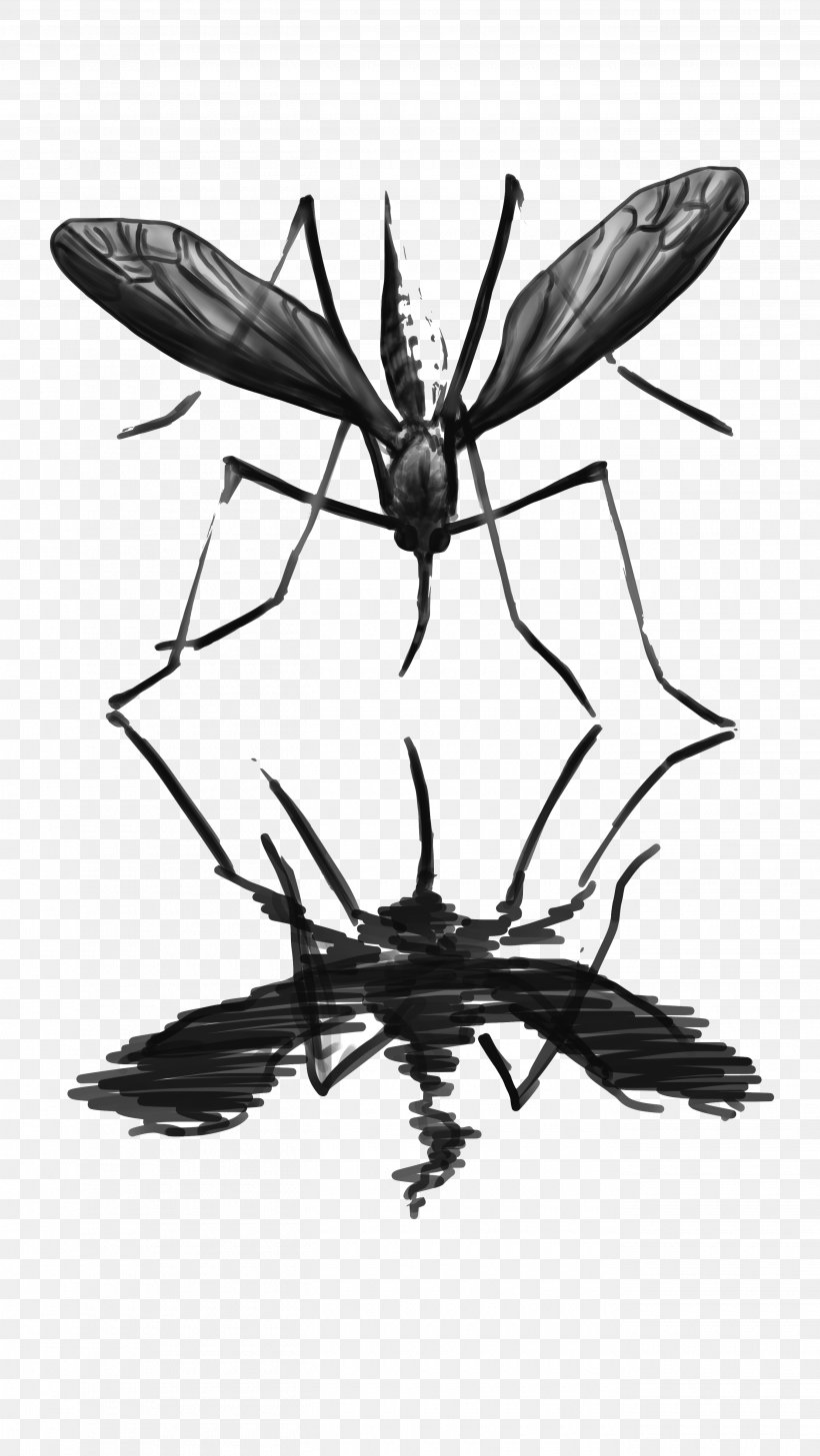 Insect Pollinator Membrane, PNG, 2700x4800px, Insect, Arthropod, Black And White, Fly, Invertebrate Download Free