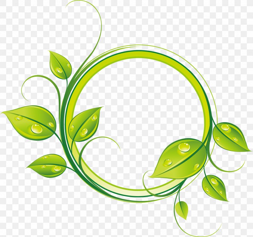Euclidean Vector Green, PNG, 2026x1895px, Green, Branch, Flora, Flower, Grass Download Free
