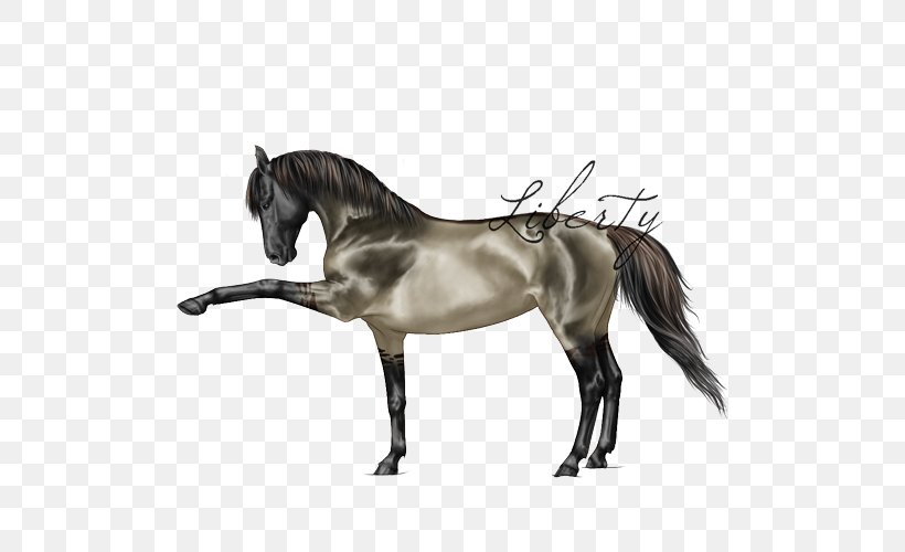 Mane Mustang Stallion Pony Mare, PNG, 500x500px, Mane, Bit, Bridle, English Riding, Equestrian Download Free