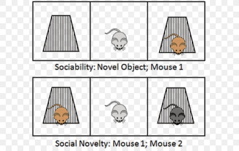 Mouse Social Relation Interaction Mammal, PNG, 620x519px, Mouse, Area, Art, Behavior, Biology Download Free