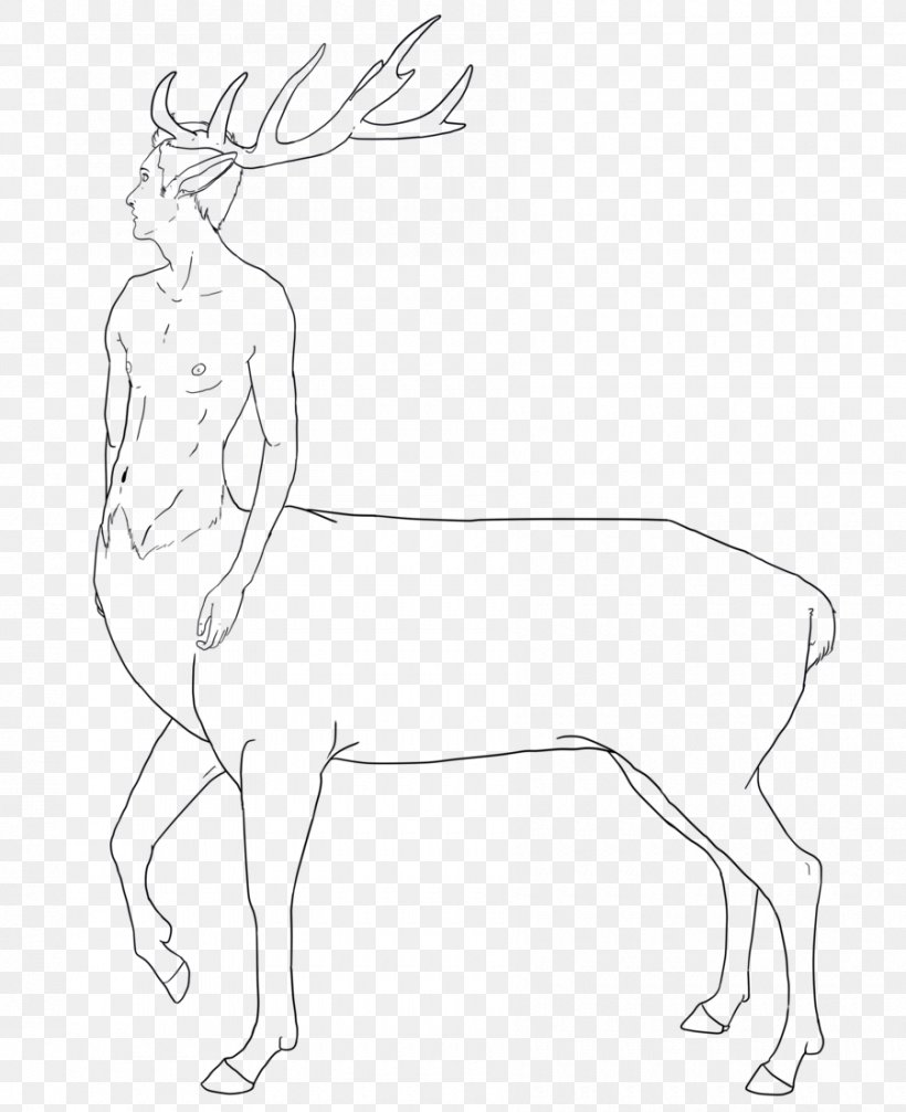 Reindeer Line Art Drawing Horse, PNG, 900x1106px, Reindeer, Antler, Arm, Art, Artist Download Free