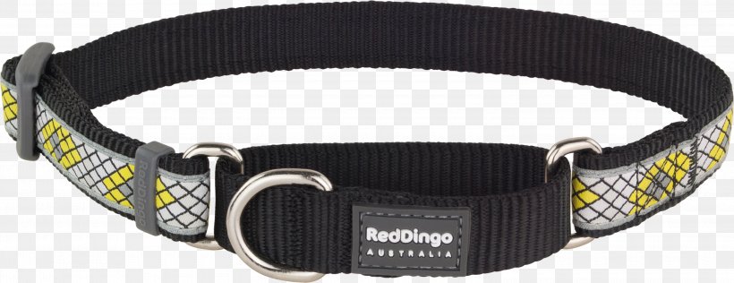 Dog Collar Dingo Martingale, PNG, 3000x1157px, Dog, Bone, Collar, Dingo, Dog Collar Download Free