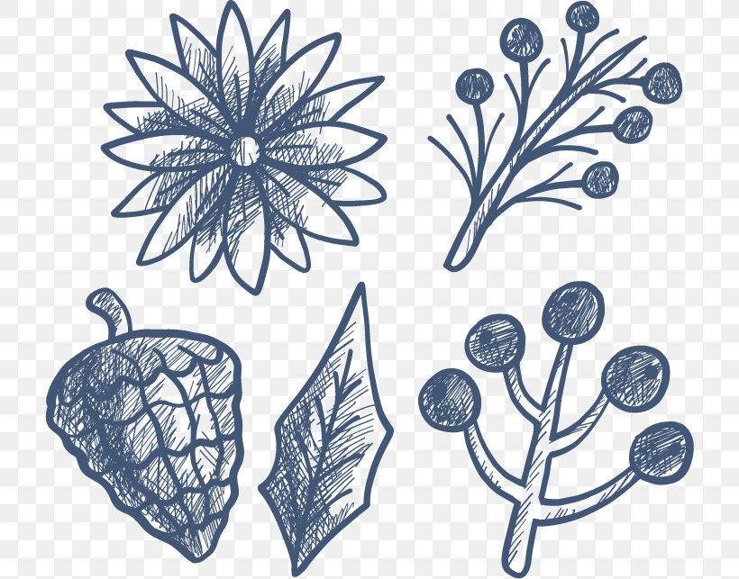 Drawing Winter Icon, PNG, 720x643px, Drawing, Black And White, Branch, Element, Flora Download Free