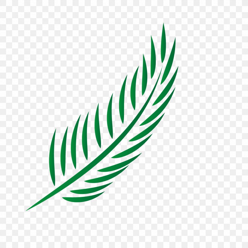 Euclidean Vector Icon, PNG, 1500x1500px, Green, Christ, Christianity, Feather, Jesus Download Free