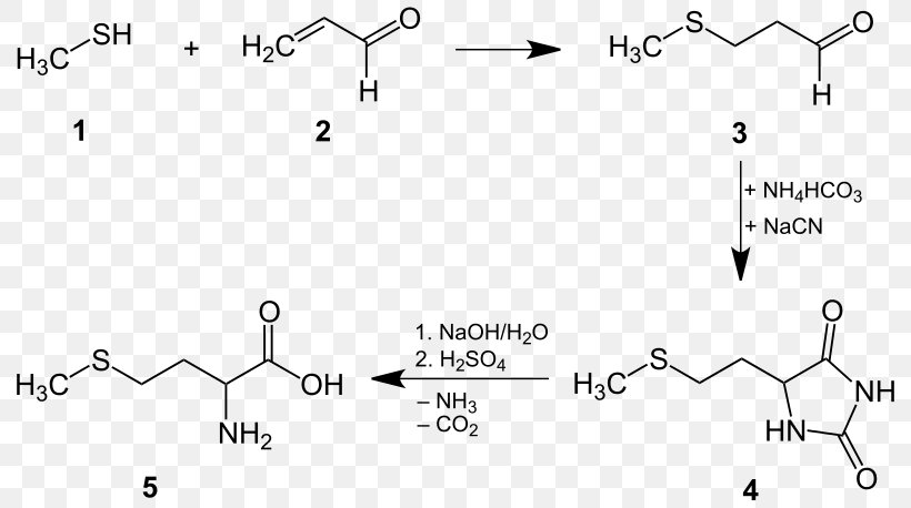 Methionine Cysteine Chemical Synthesis Proteinogenic Amino Acid Chemistry, PNG, 800x458px, Methionine, Amino Acid, Amino Acid Synthesis, Area, Auto Part Download Free
