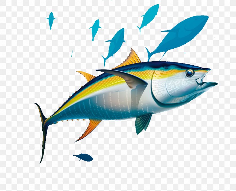 Yellowfin Tuna Albacore Illustration, PNG, 1000x810px, Yellowfin Tuna, Albacore, Atlantic Bluefin Tuna, Bigeye Tuna, Bony Fish Download Free