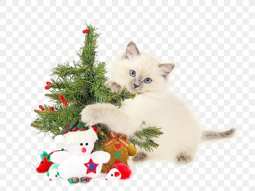 Christmas Tree, PNG, 2666x2000px, Watercolor, Cat, Christmas Decoration, Christmas Ornament, Christmas Tree Download Free